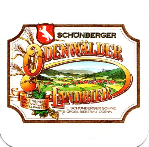 gro�-bieberau da-he sch�nberger quad 4a (180-odenw�lder) 